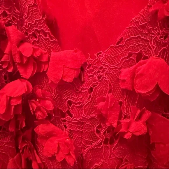 Red Floral Appliqué Lace Midi Dress – NWT – Size 8 - Picture 15 of 15